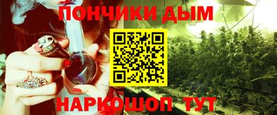 прущие грибы Нальчик