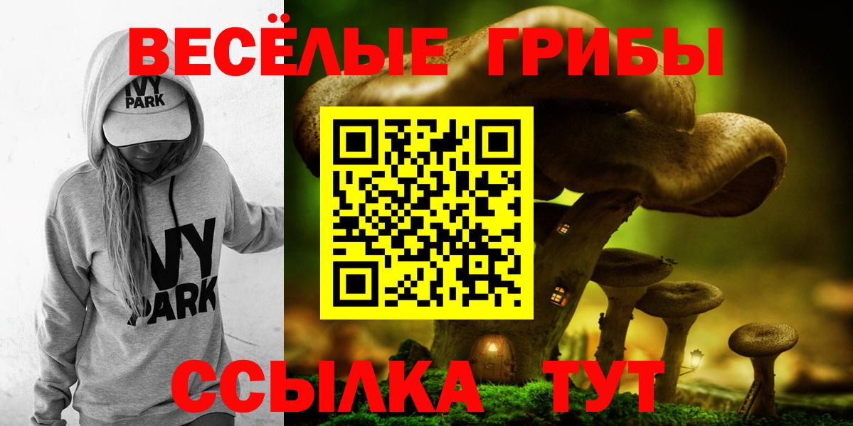 Псилоцибиновые грибы прущие грибы  Вход с VPN  Среднеуральск 