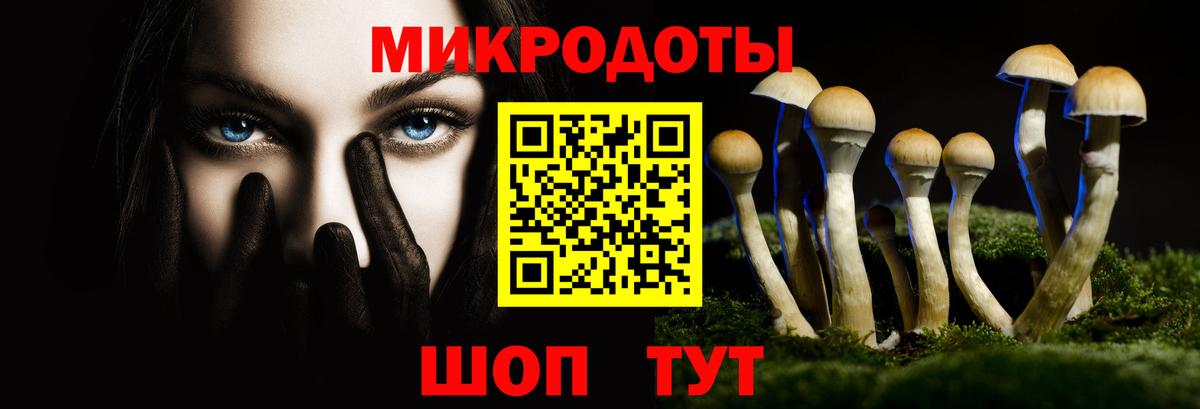 Псилоцибиновые грибы Psilocybe Среднеуральск